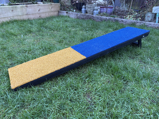 Agility training contact ramp