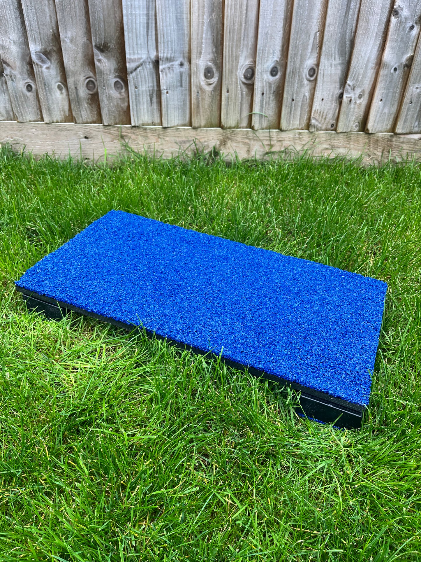 Canine conditioning training board and blocks with velcro