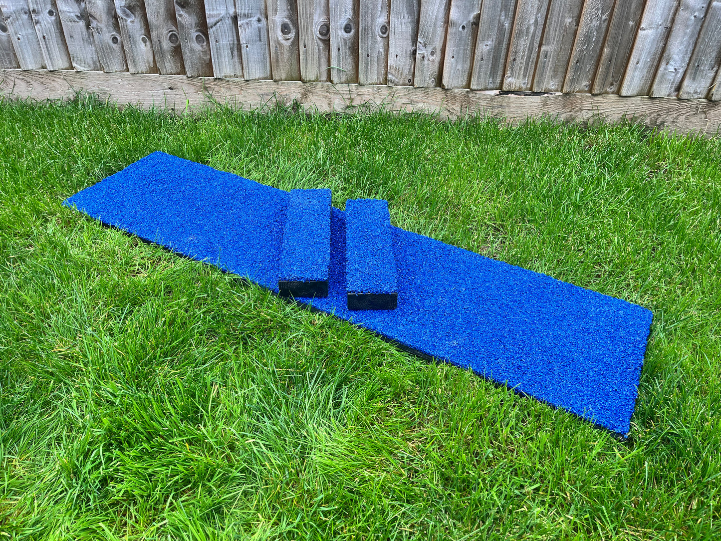 Canine conditioning training board and blocks with velcro